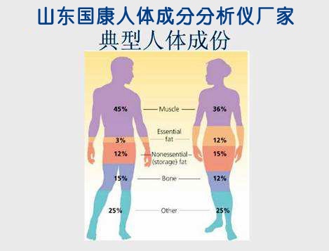 組成人體成分有哪些【山東亚洲国产精品麻豆】