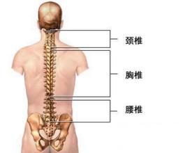 重視脊椎疼痛