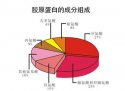 人體成分測量儀解讀膠原蛋白的重要性