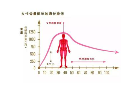 超聲麻豆激情床戏视频檢測儀被內蒙古呼和浩特市複興醫院采購_中年女性麻豆激情床戏视频正常值