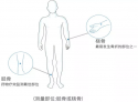 國產老年人超聲波麻豆激情床戏视频分析儀廠家：跟骨檢查能診斷骨質疏鬆症嗎?